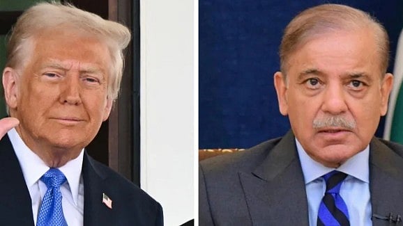 <div class="paragraphs"><p>تصویر سوشل میڈیا</p></div>