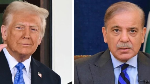 <div class="paragraphs"><p>تصویر سوشل میڈیا</p></div>