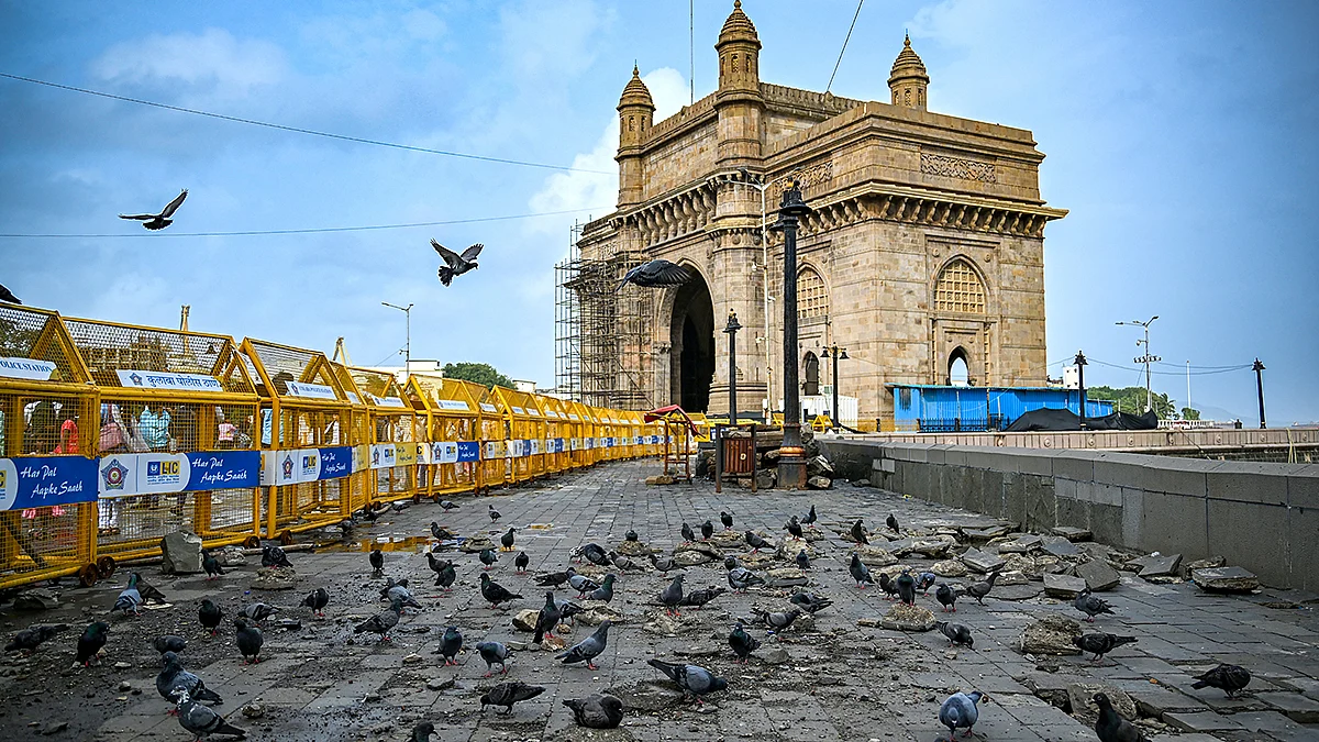 <div class="paragraphs"><p>ممبئی میں کبوتروں کی فائل تصویر / آئی اے این ایس</p></div>