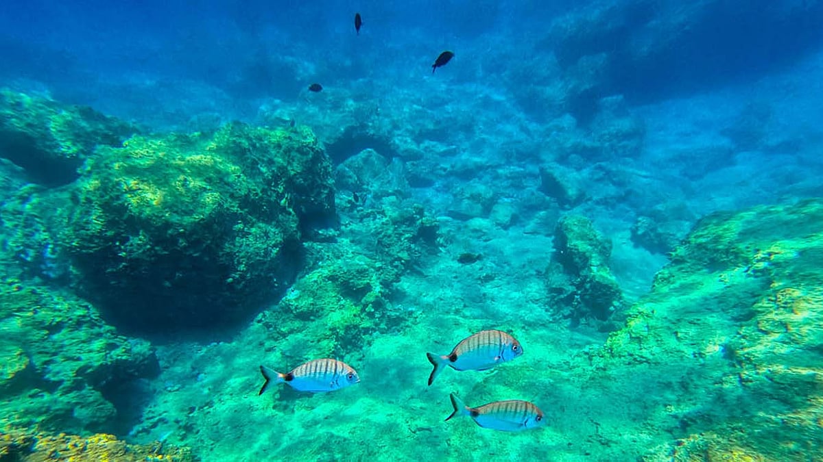 <div class="paragraphs"><p>Getty Images</p></div>