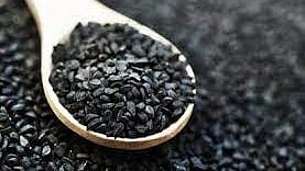 <div class="paragraphs"><p>فائل تصویر آئی اے این ایس</p></div>