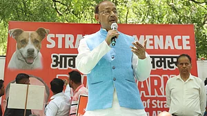 آوارہ کتوں کے معاملے پر وجے گوئل نے سپریم کورٹ کے فیصلے پر اٹھائے سوال