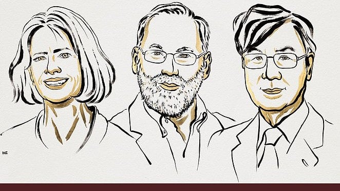 <div class="paragraphs"><p>(دائیں سے بائیں) نوبل انعام یافتہ سائنسداں شیمون سکاگوچی، فریڈ رامسڈیل اور میری ای برنکا۔ تصویر بشکریہ <a href="https://x.com/NobelPrize">@NobelPrize</a></p></div>