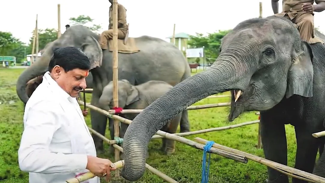 <div class="paragraphs"><p>ویڈیو گریب</p></div>