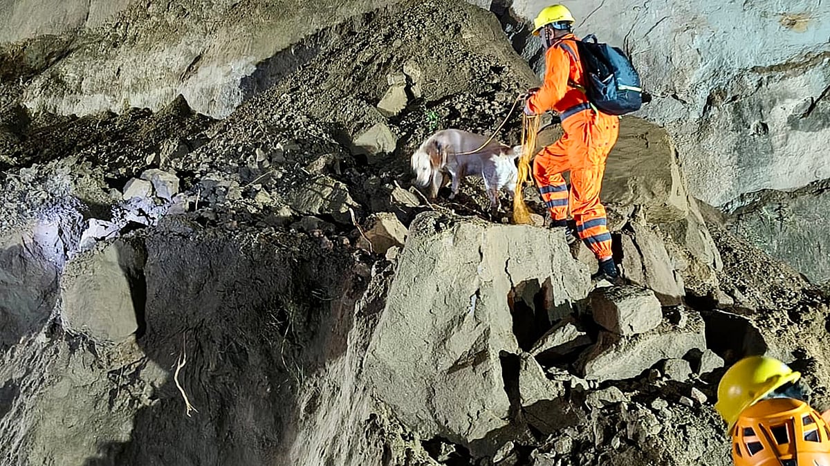 <div class="paragraphs"><p>آئی اے این ایس</p></div>