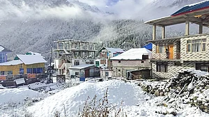 ہماچل پردیش میں موسم کی مار، قبل از وقت برفباری سے سیب کی فصل برباد