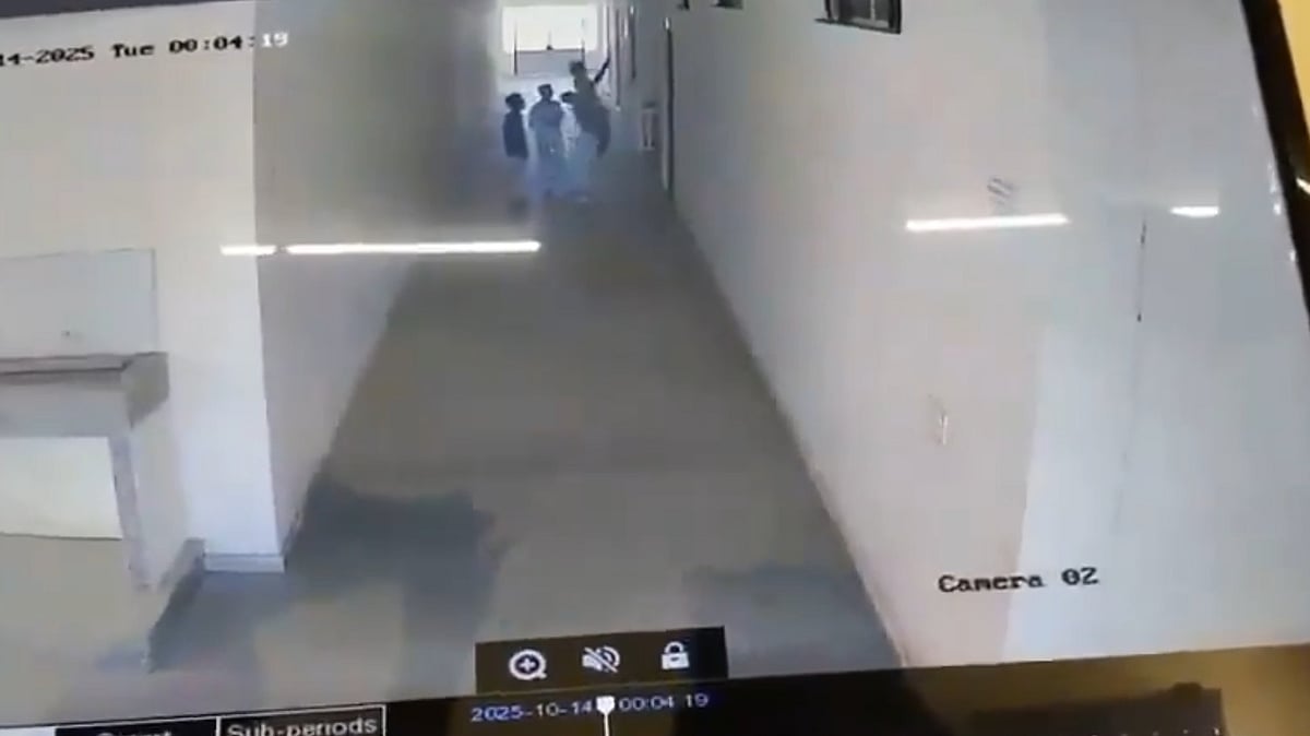 <div class="paragraphs"><p>ویڈیو گریب</p></div>