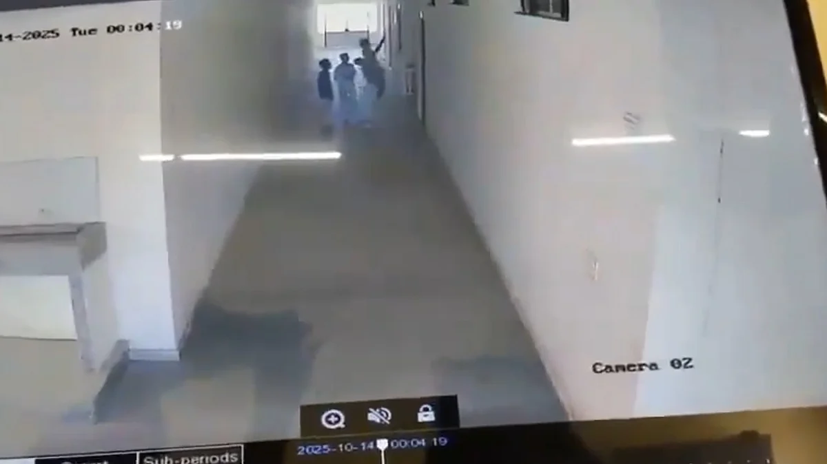 <div class="paragraphs"><p>ویڈیو گریب</p></div>