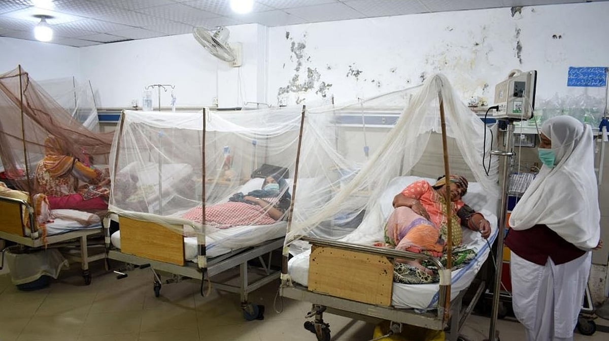 پاکستان کے خیبر پختونخوا میں ڈینگو کا زور، مریضوں کی تعداد3.5 ہزار سے متجاوز، عدالت میں عرضی داخل
