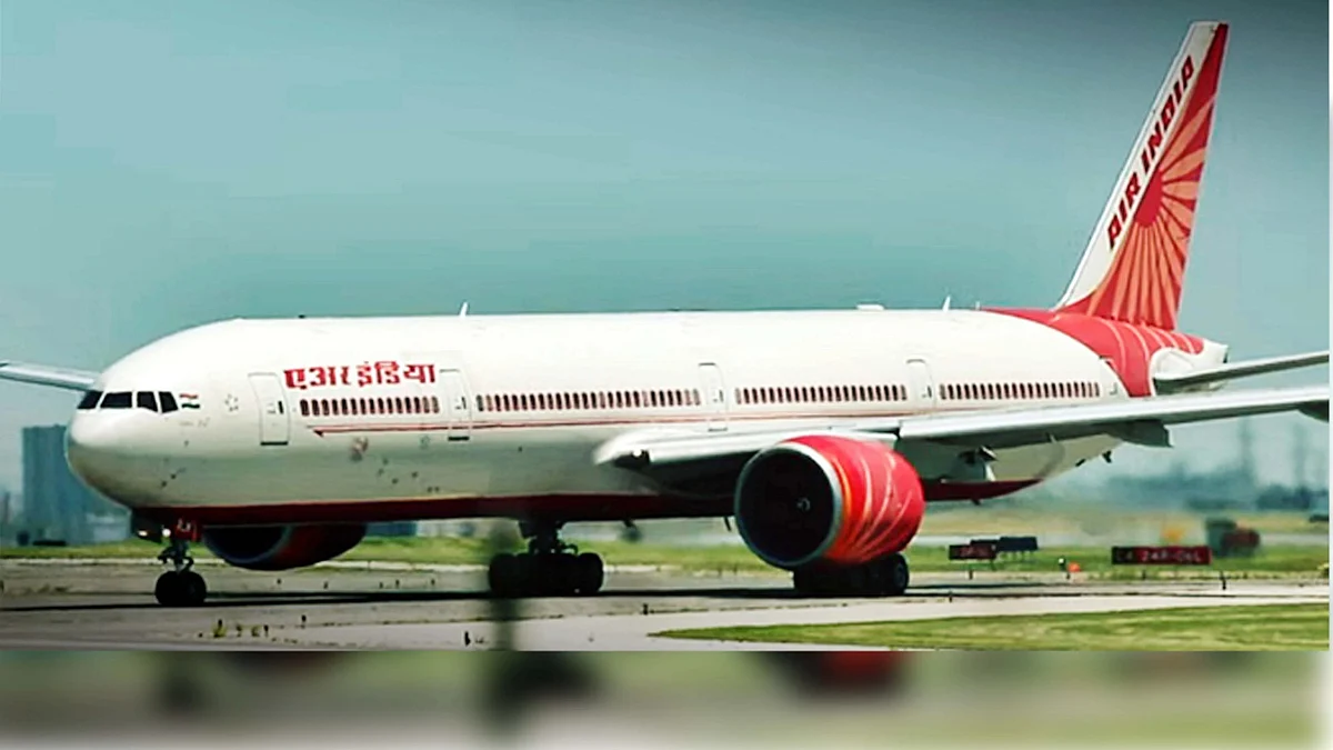 <div class="paragraphs"><p>ایئر انڈیا کی پرواز / آئی اے این ایس</p></div>