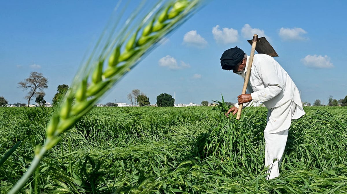 <div class="paragraphs"><p>Getty Images</p></div>