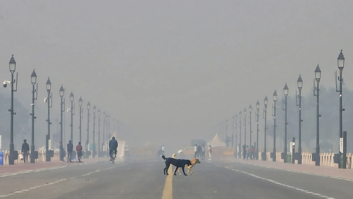 <div class="paragraphs"><p>دہلی میں فضائی آلودگی (فائل)/ تصویر آئی اے این ایس</p></div>