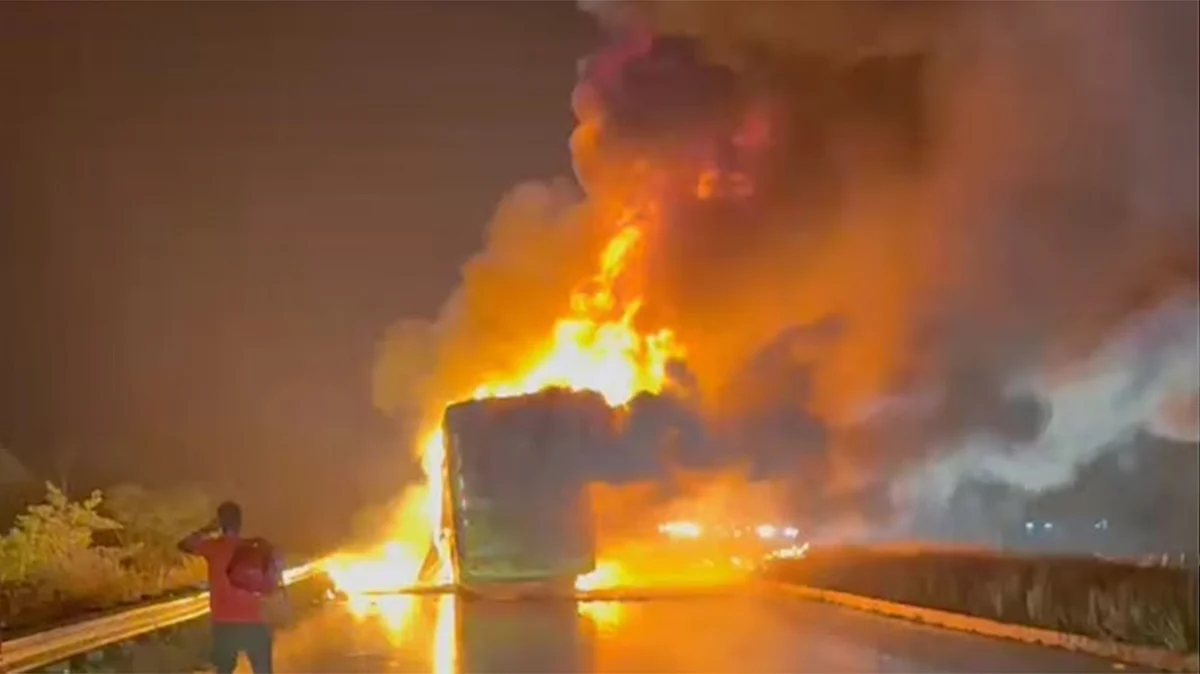 <div class="paragraphs"><p>تصویر سوشل میڈیا</p></div>