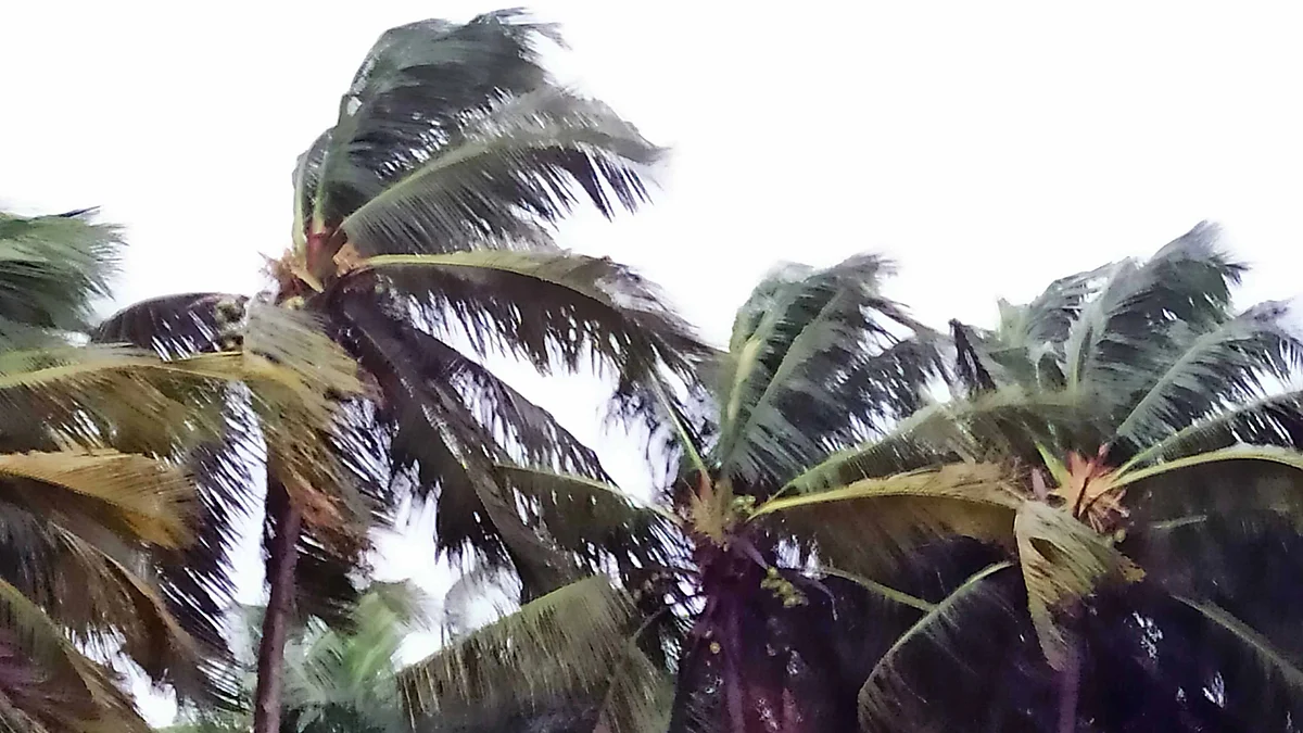 تصویر یو این آئی