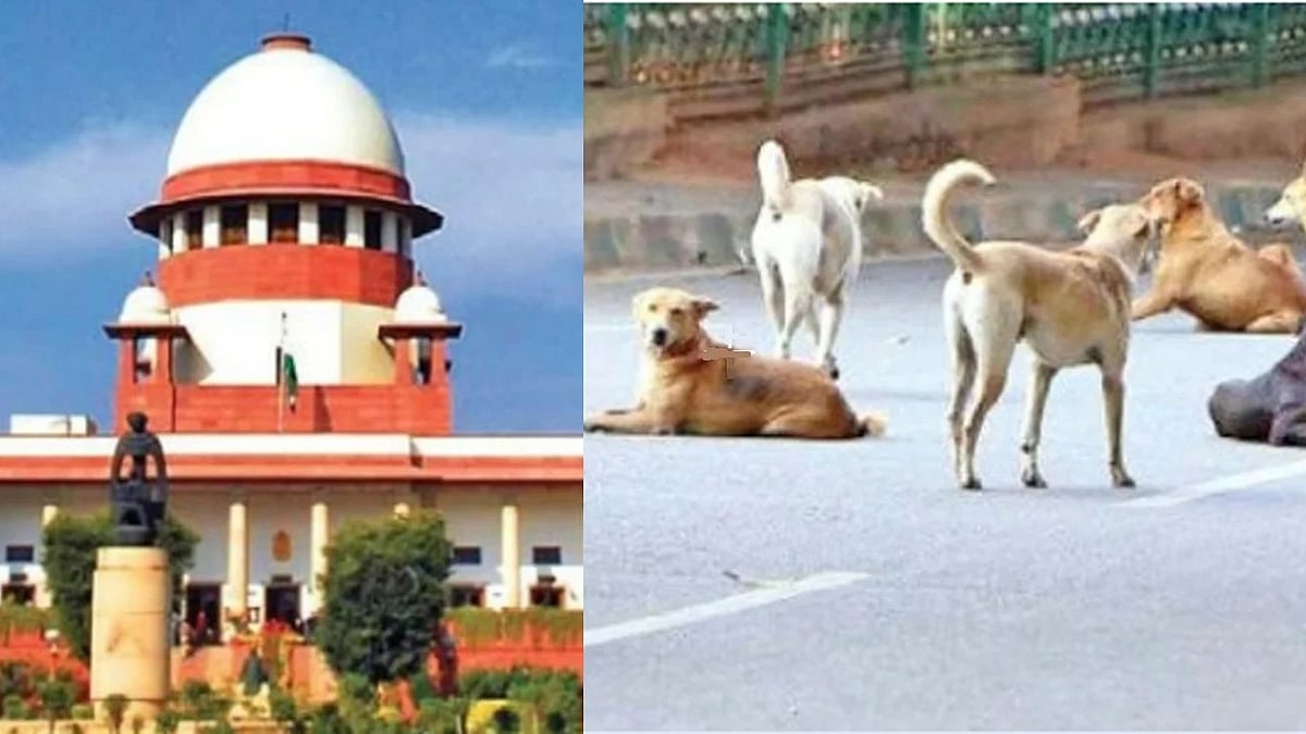 آوارہ کتوں کے معاملے پر سپریم کورٹ نے ریاستوں کو لیا آڑے ہاتھ
