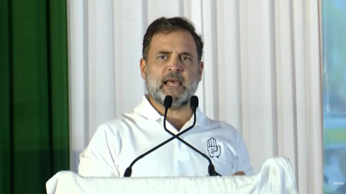 <div class="paragraphs"><p>راہل گاندھی / ویڈیو گریب</p></div>