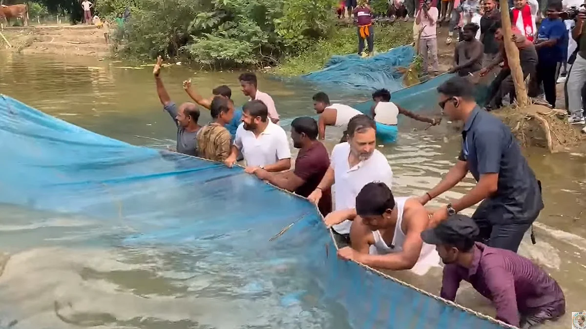 <div class="paragraphs"><p>بیگوسرائے: مچھلی پکڑنے کے لیے جال ڈالنے میں مدد کرتے راہل گاندھی / ویڈیو گریب</p></div>