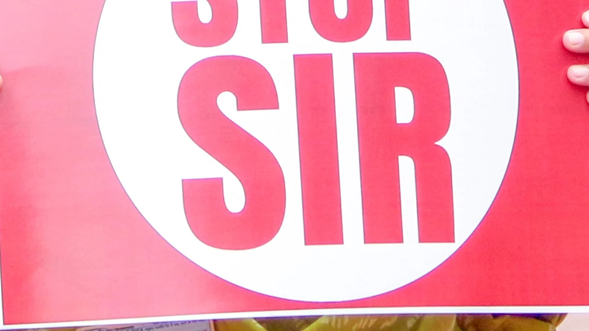 <div class="paragraphs"><p>فائل تصویرآئی اے این ایس</p></div>