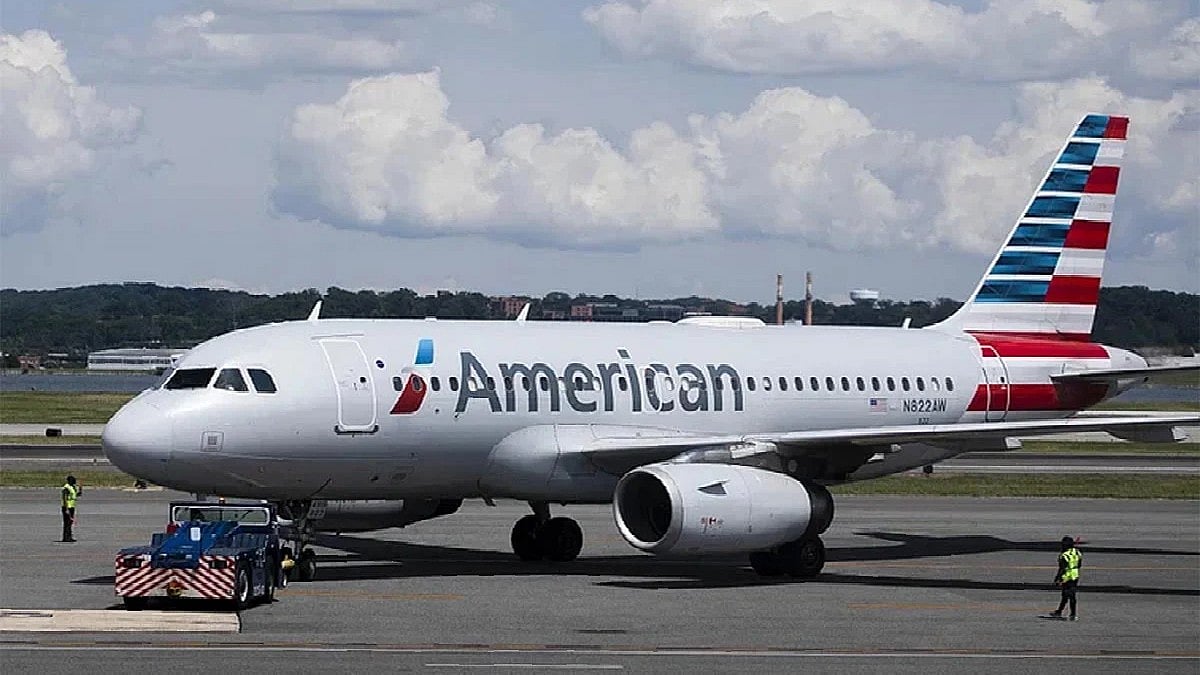 <div class="paragraphs"><p>امریکن ایئرلانز / سوشل میڈیا</p></div>