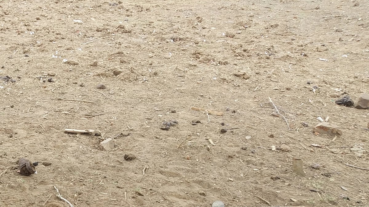 <div class="paragraphs"><p>فائل علامتی تصویر آئی اے این ایس</p></div>