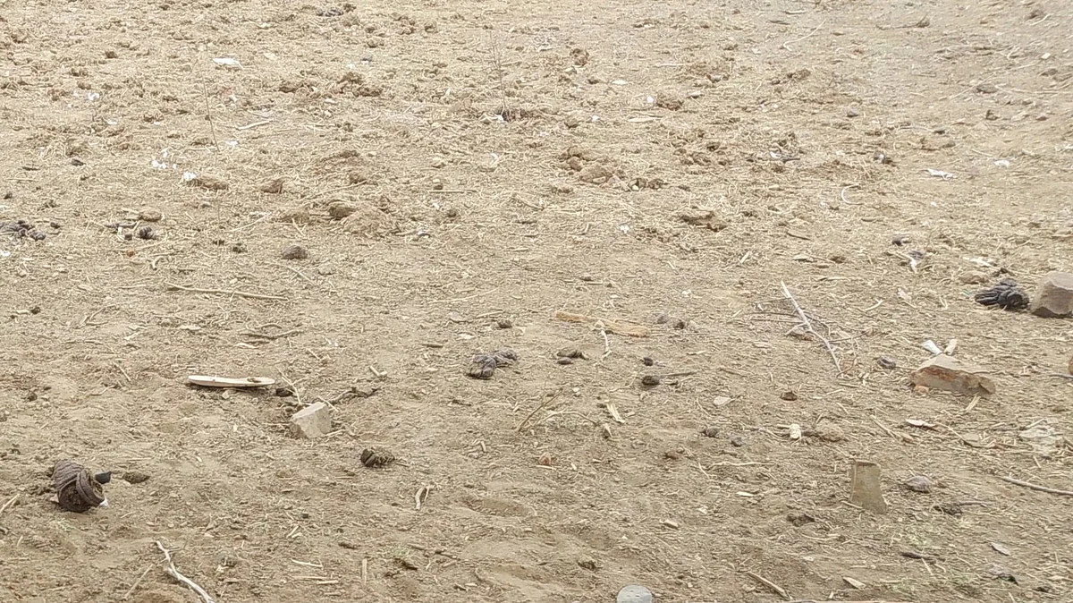 <div class="paragraphs"><p>فائل علامتی تصویر آئی اے این ایس</p></div>