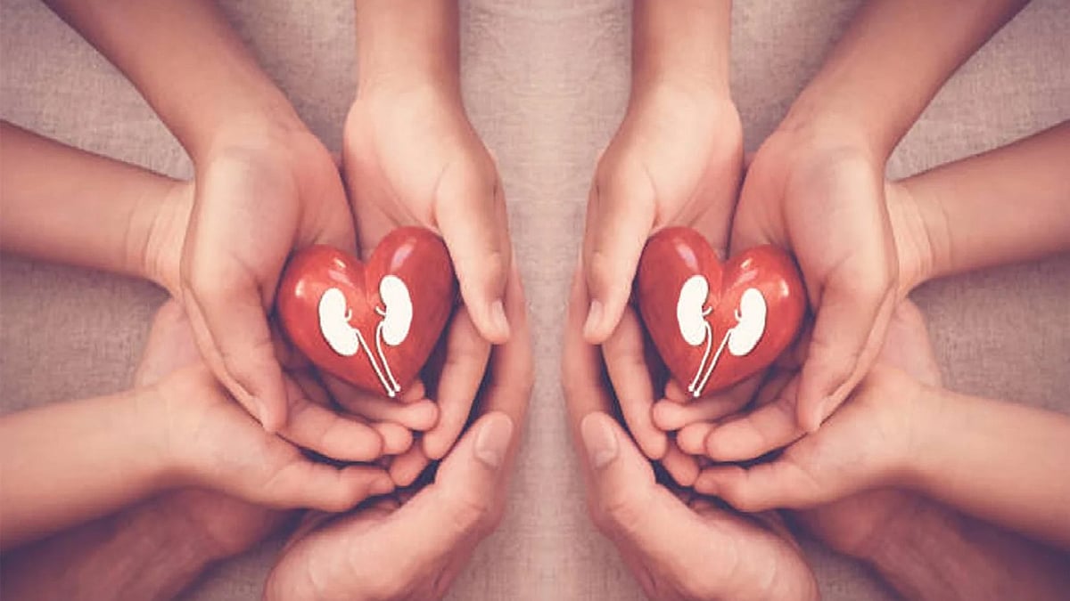 <div class="paragraphs"><p>علامتی تصویر</p></div>