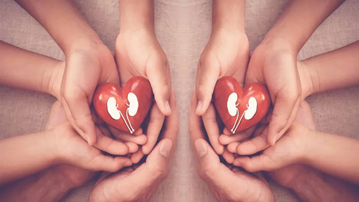 <div class="paragraphs"><p>علامتی تصویر</p></div>