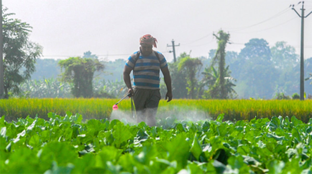 کھاد کی کالابازاری اور ذخیرہ اندوزی کے خلاف حکومت کی کارروائی، چار ہزار سے زائد لائسنس منسوخ