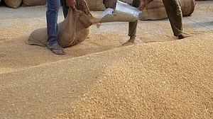 گاؤں والوں نے گندم اور چاول بیچ کر بچے کے علاج کے لیے رقم اکٹھی کی