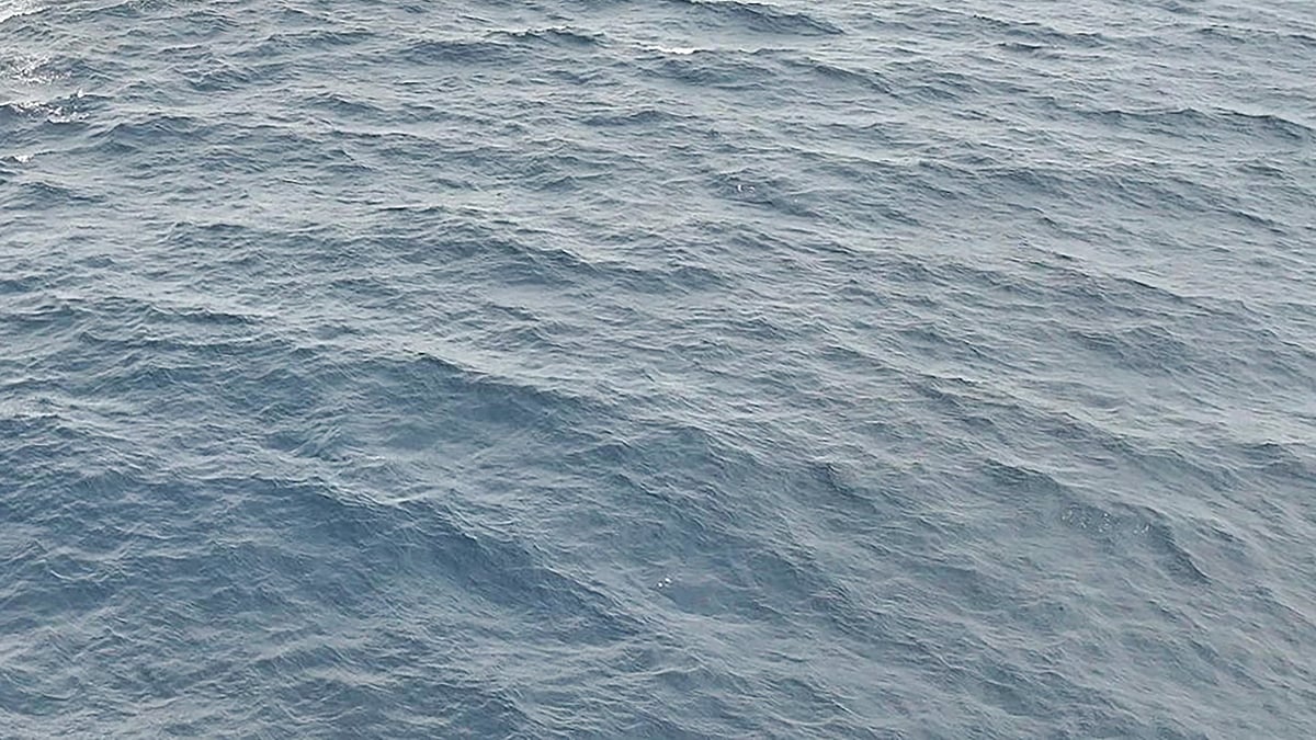 <div class="paragraphs"><p>فائل علامتی تصویر آئی اے این ایس</p></div>