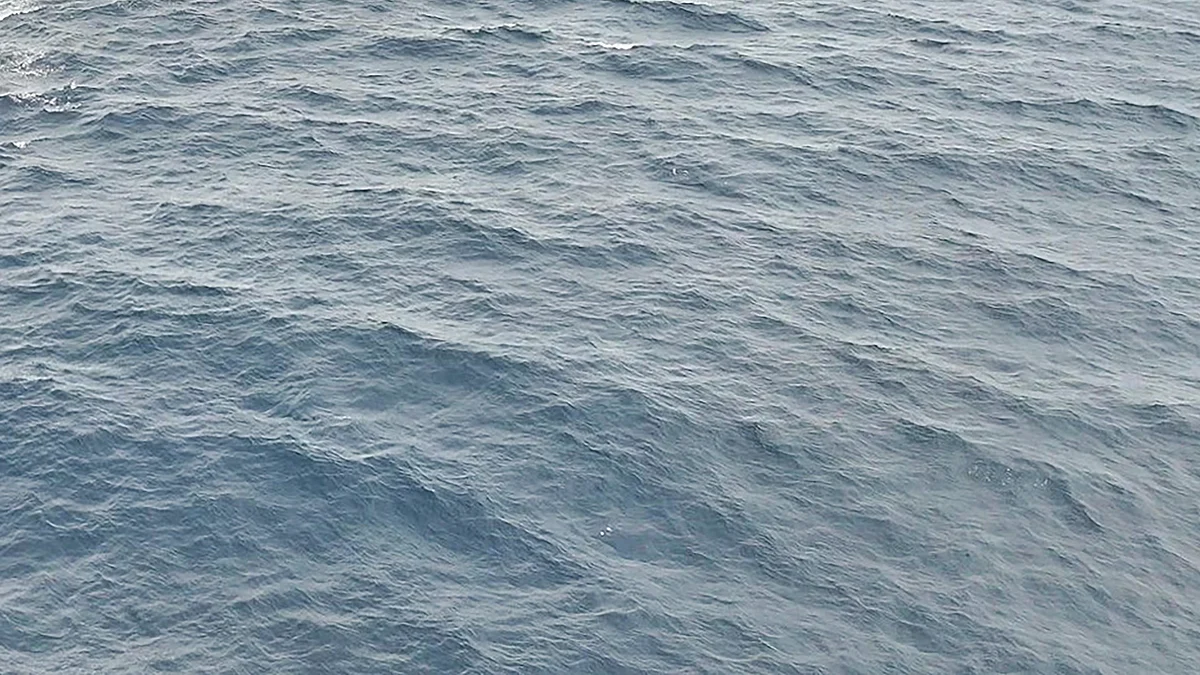 <div class="paragraphs"><p>فائل علامتی تصویر آئی اے این ایس</p></div>