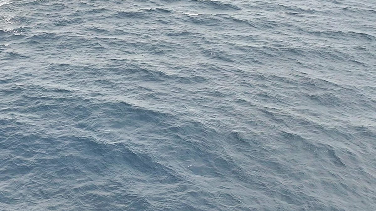 <div class="paragraphs"><p>فائل علامتی تصویر آئی اے این ایس</p></div>