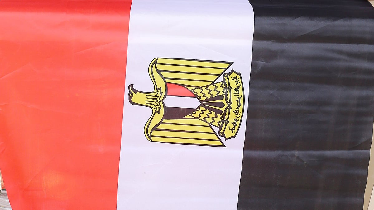 غزہ میں بین الاقوامی فورس پر عرب اسلامی اتفاق ہے: مصری وزیر خارجہ