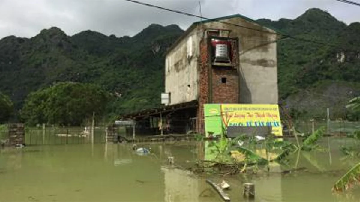 <div class="paragraphs"><p>آئی اے این ایس</p></div>