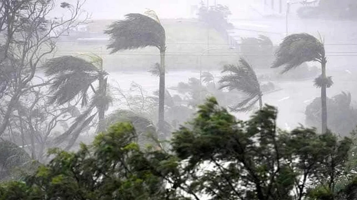 <div class="paragraphs"><p>تصویر سوشل میڈیا</p></div>