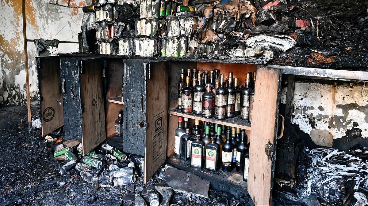 <div class="paragraphs"><p>تصویر بشکریہ آئی اے این ایس</p></div>