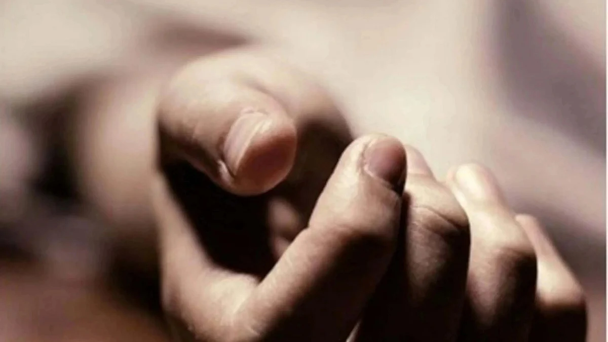 <div class="paragraphs"><p>علامتی تصویر / آئی اے این ایس</p></div>