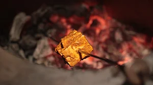 دہلی کے تمام ہوٹلوں میں تندور میں کوئلہ کے استعمال پر پابندی