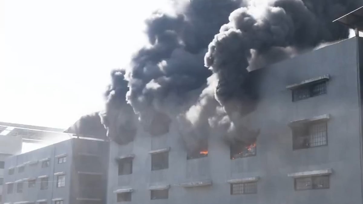 <div class="paragraphs"><p>ویڈیو گریب</p></div>