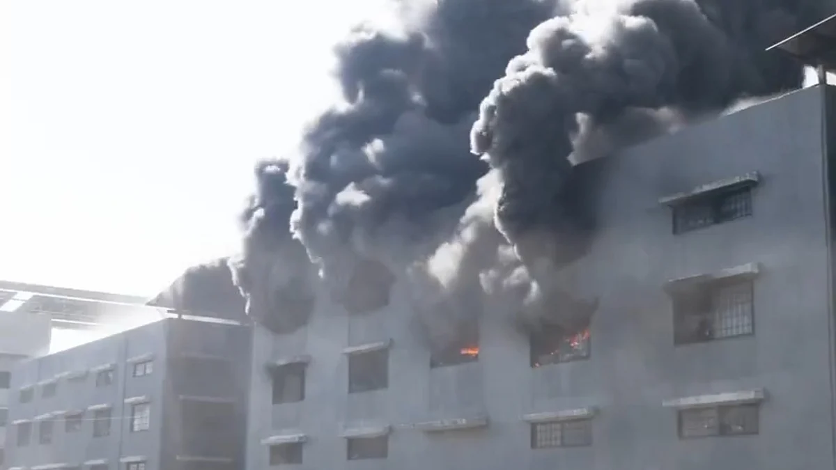 <div class="paragraphs"><p>ویڈیو گریب</p></div>