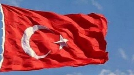 ترکی کو غزہ کی عالمی استحکام فورس میں شامل ہونا چاہیے: امریکی سفیر