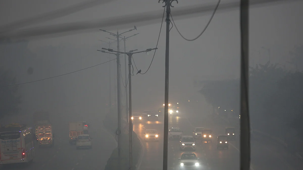 <div class="paragraphs"><p>دہلی میں کہرے کا منظر / آئی اے این ایس</p></div>