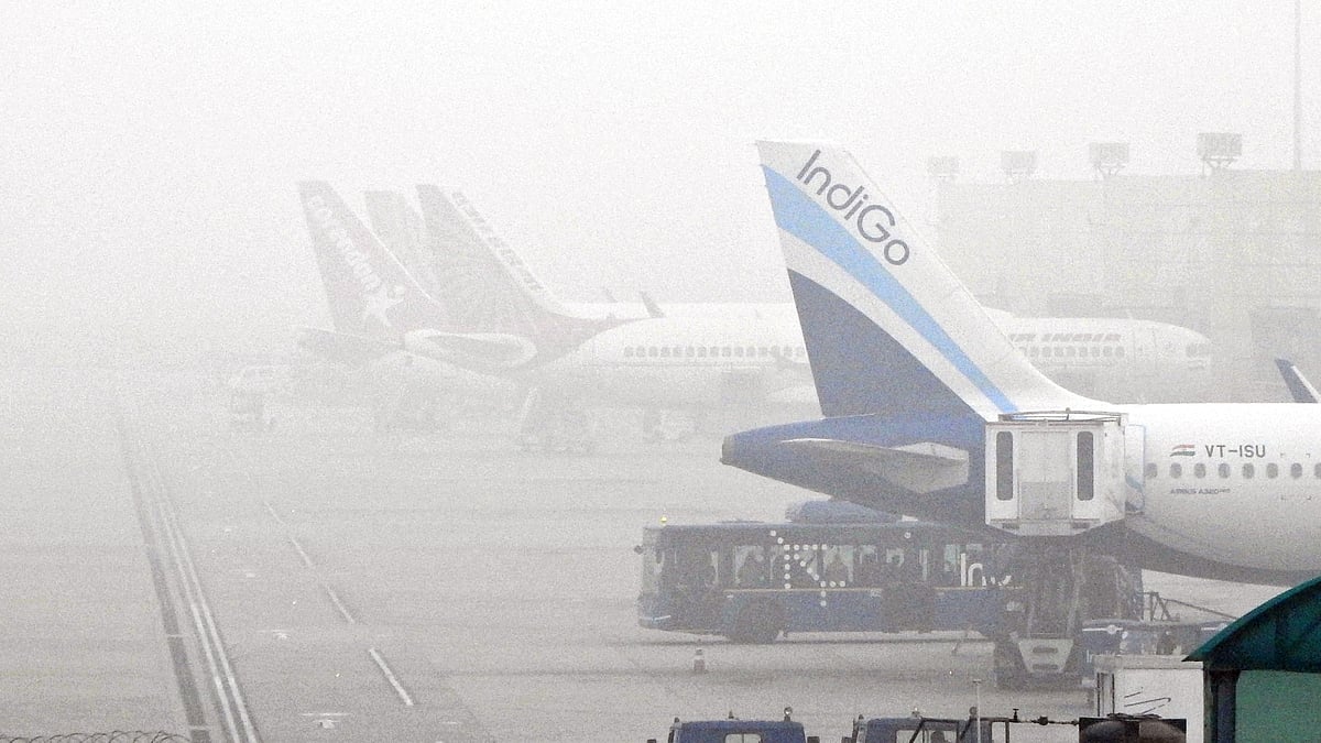 <div class="paragraphs"><p>فائل تصویر آئی اے این ایس</p></div>