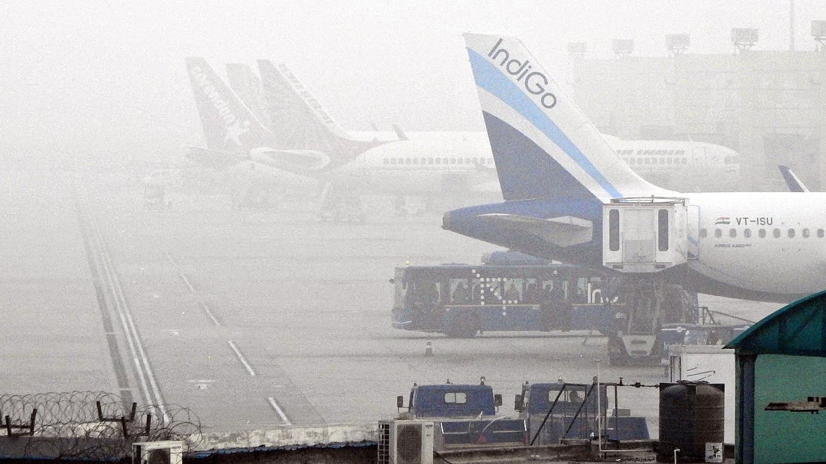 <div class="paragraphs"><p>فائل تصویر آئی اے این ایس</p></div>