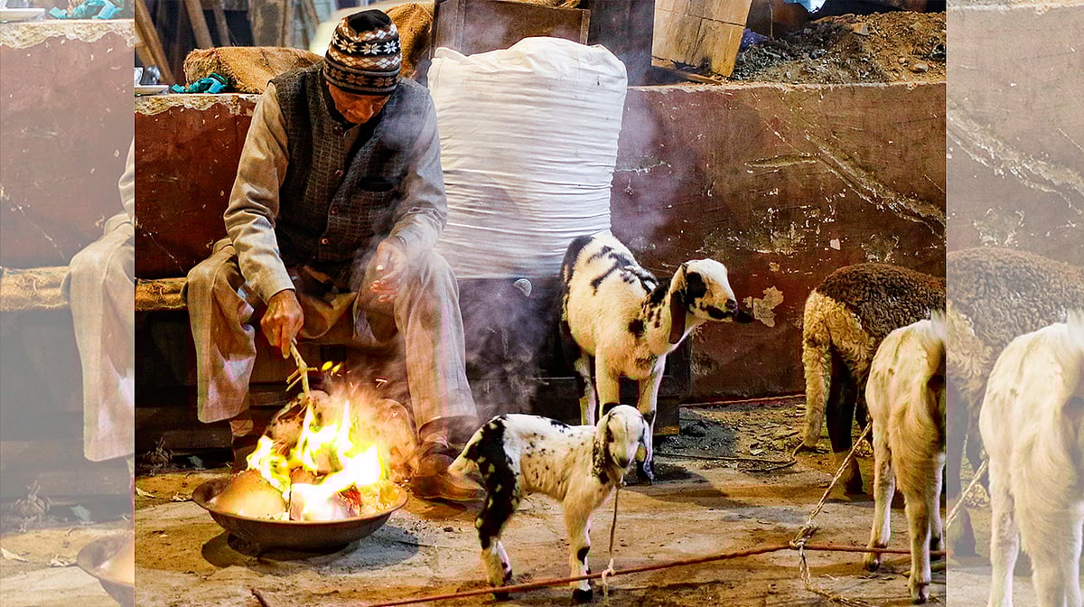 یوپی میں ٹھٹھرتی سردی، دہلی میں پارہ 6 ڈگری تک گرنے کا امکان، بہار سمیت شمالی ہندوستان میں سخت انتباہ