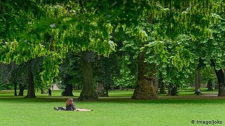 <div class="paragraphs"><p>فائل فوٹو</p></div>