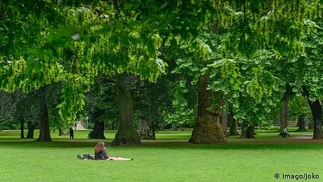 <div class="paragraphs"><p>فائل فوٹو</p></div>