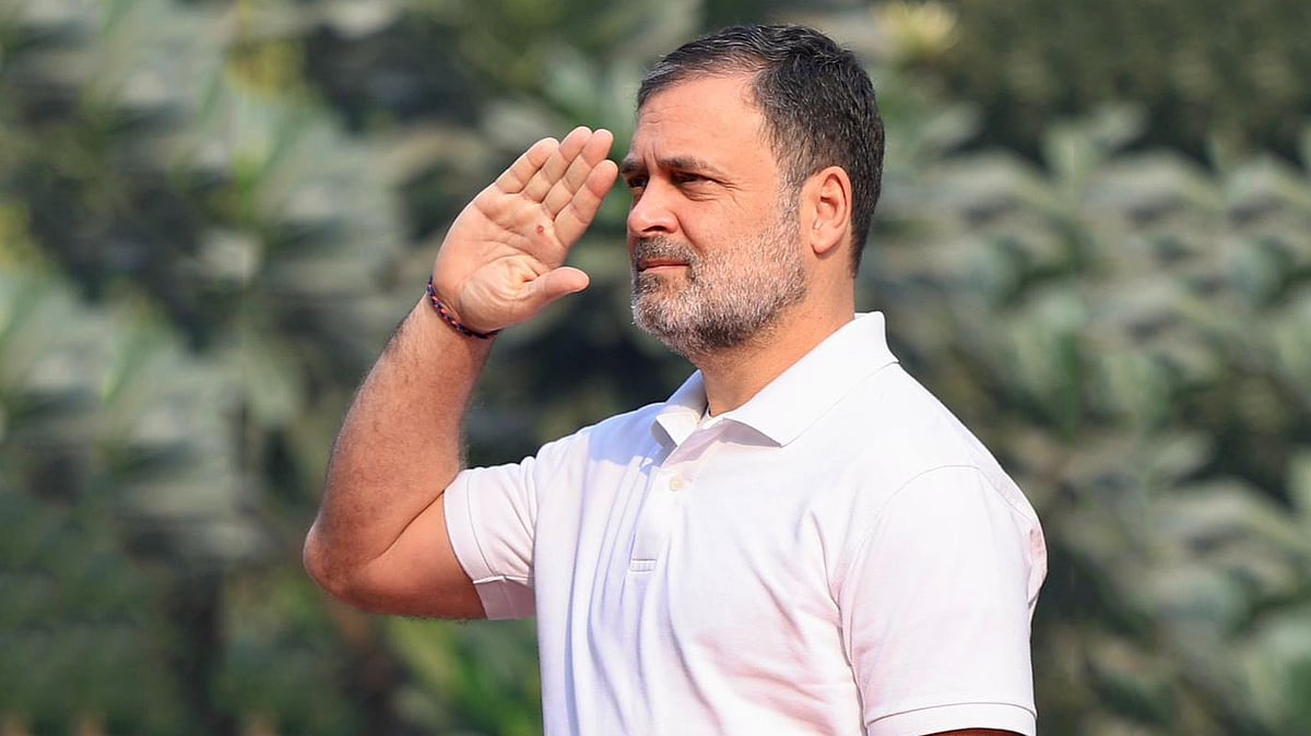 <div class="paragraphs"><p>راہل گاندھی / بشکریہ ایکس</p></div>