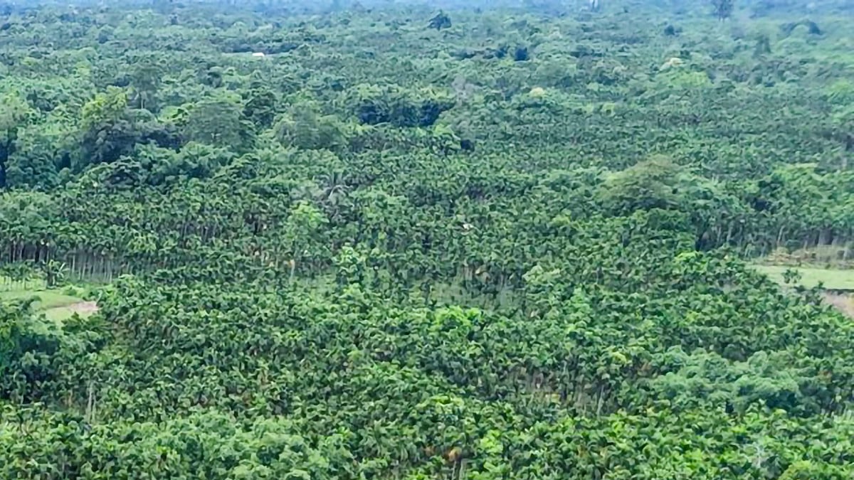 <div class="paragraphs"><p>فائل علامتی تصویر آئی اے این ایس</p></div>