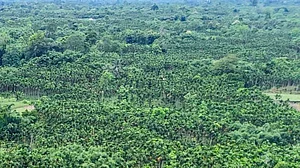 <div class="paragraphs"><p>فائل علامتی تصویر آئی اے این ایس</p></div>